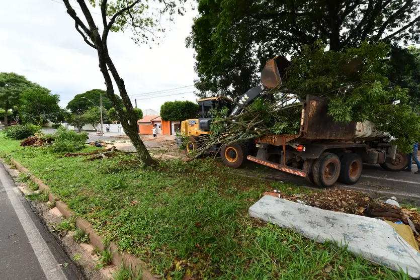 Prefeitura mobiliza equipes para liberar vias e reparar estragos após temporal em Umuarama