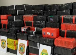 Quase 4 toneladas de maconha são apreendidas escondidas em carga de feno no Paraná