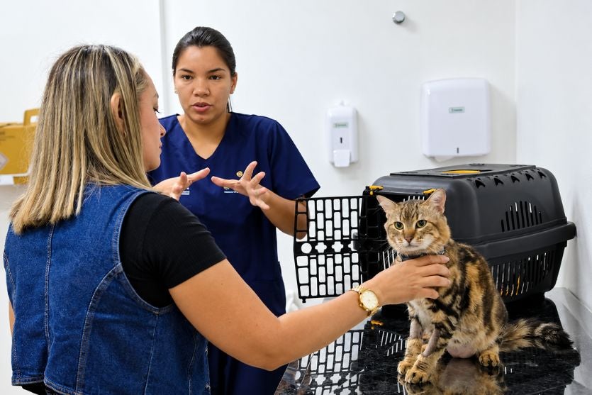 Sergio Frederico defende criação do ‘SUS Animal’ para tutores de baixa renda