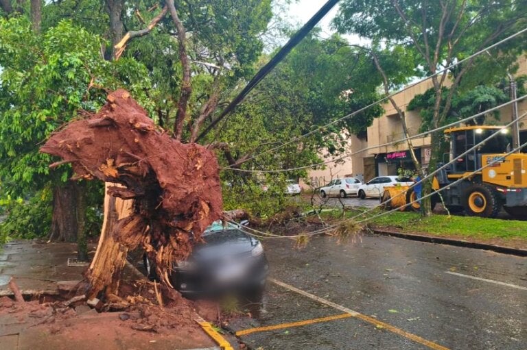 Temporal deixou 14,2 mil clientes de Umuarama sem energia elétrica, informa Copel
