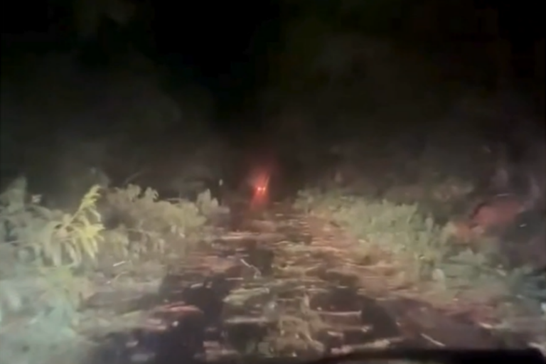 Vídeo: temporal com ventos fortes causa estragos em cidades do Noroeste do Paraná