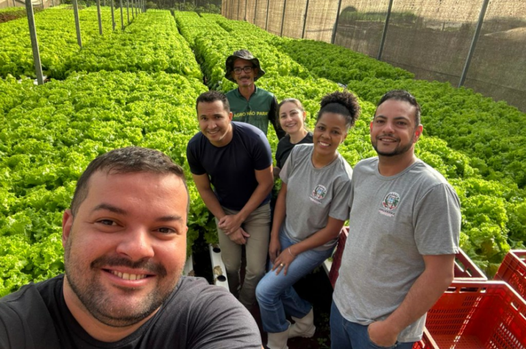 Agricultor doa mais de uma tonelada de verduras para o Banco de Alimentos de Umuarama