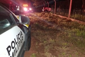 Viatura da PRE próxima a local onde bovino foi atropelado na PR-323.