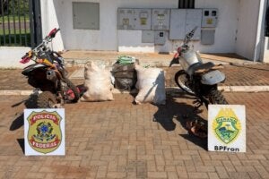 Inseticida contrabandeado e apreendido em Guaíra.