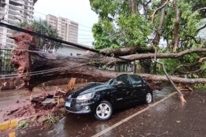 Árvore caída sobre automóvel no Centro de Umuarama.
