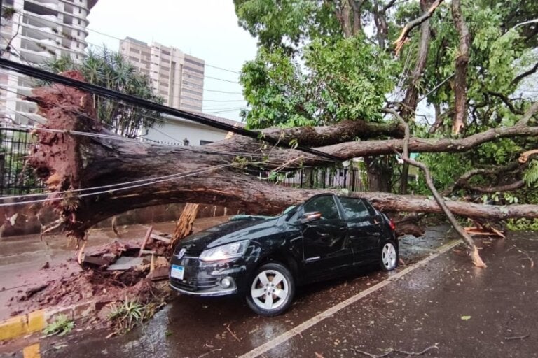 Árvore caída sobre automóvel no Centro de Umuarama.