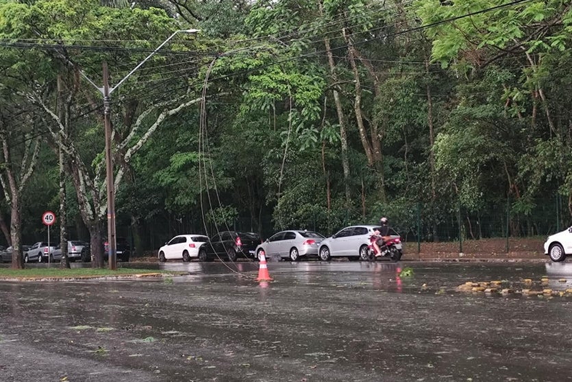 Fios caídos após temporal com ventos intensos e quedas de árvores em Umuarama.