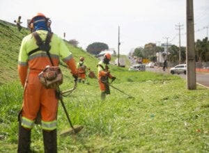 Trabalhadores realizando roçada às margens da PR-323.