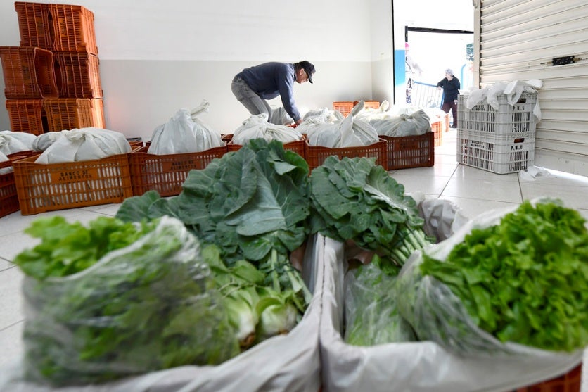 Verduras em caixas do Banco de Alimentos de Umuarama.