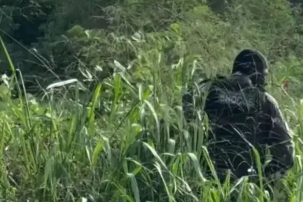 Polícia faz buscas em mata para localizar suspeito de matar venezuelana de 14 anos no Paraná