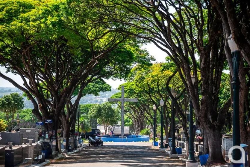 Cemitérios de Umuarama devem receber 35 mil visitantes durante o feriado de Finados