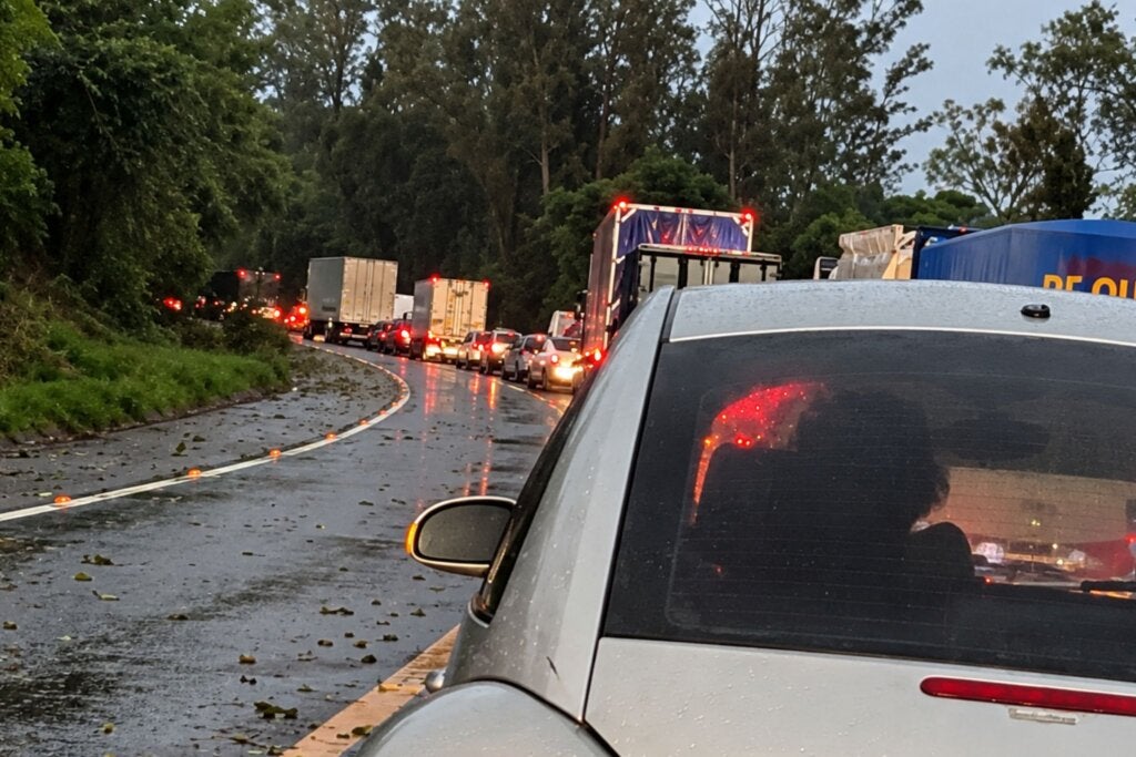 Temporal derruba árvore e interdita trecho da rodovia PR-323 na região de Perobal