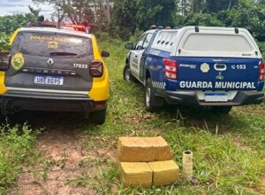 Guarda Municipal e PM apreendem 75,2 quilos de maconha na zona rural de Altônia