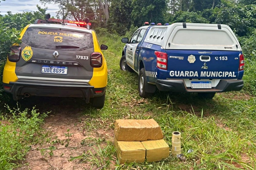 Guarda Municipal e PM apreendem 75,2 quilos de maconha na zona rural de Altônia