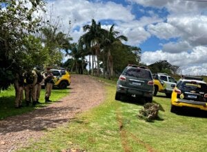 Homem que ameaçou esposa com arma é preso pela PM após cerco em Francisco Alves