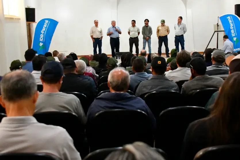 Cultivo de alho surge como alternativa de renda para produtores de Umuarama