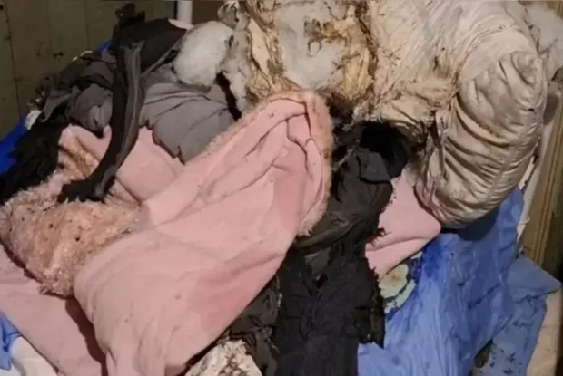 Cama queimada onde antes repousava homem acamado.
