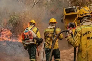 Brigadistas combatendo uma das centenas de foco de incêndio no Amazonas.