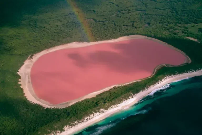 Lagos rosados: entenda o que está por trás desse fenômeno natural e suas cores surpreendentes