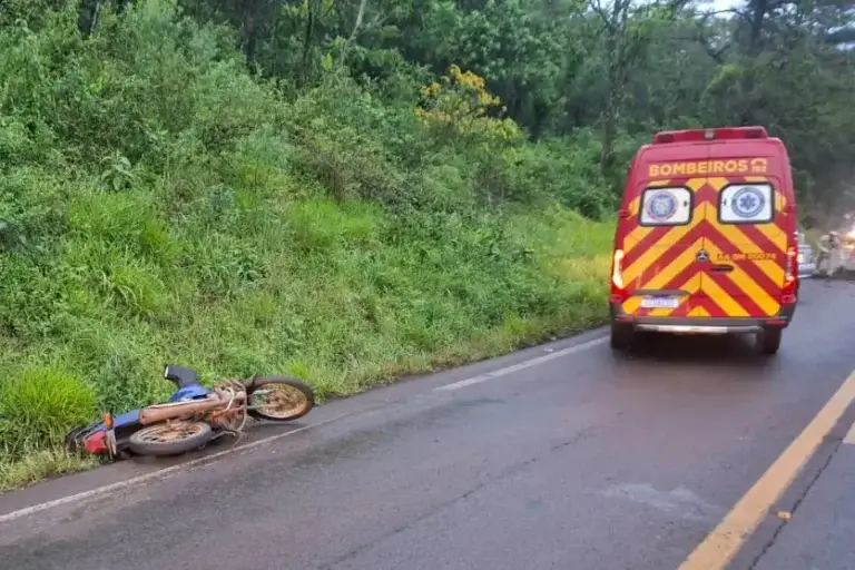 Motociclista fica ferida após colisão com árvore caída na PR-180