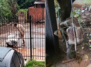 Homem carregando mulher em saco de cal em Sarandi, após tentativa de feminicídio.