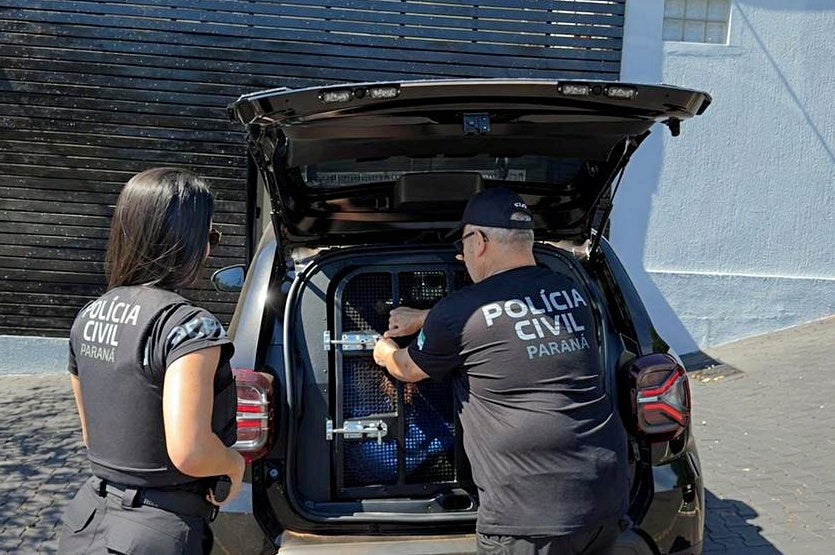 Em Ivaté, PCPR prende investigado por diversos crimes contra a ex-companheira de Perobal