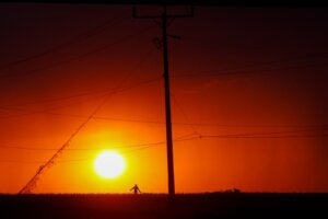 Sol no horizonte com um trabalhador ao fundo, em Palotina.