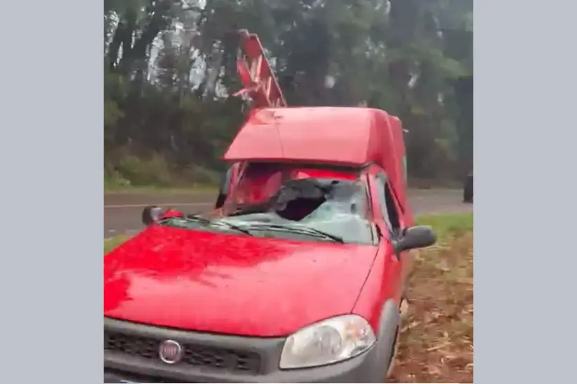 Vídeo: árvore cai sobre carro em movimento durante vendaval em rodovia do Paraná