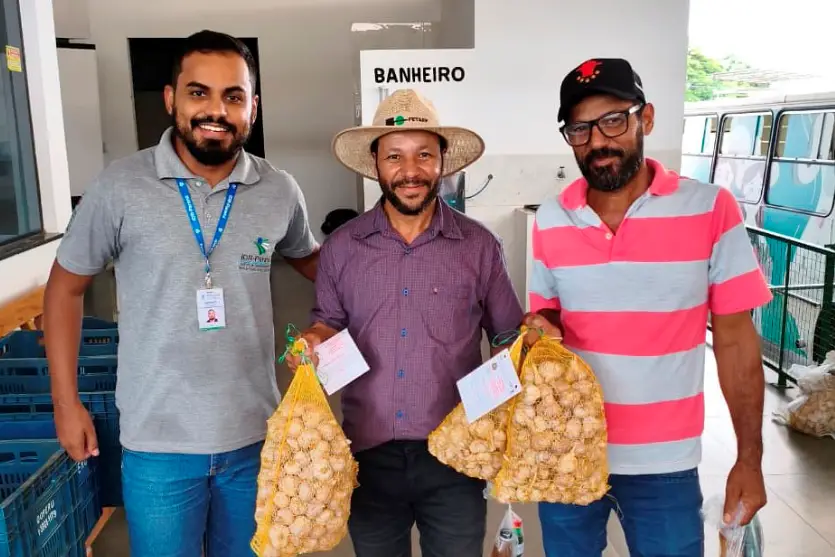 Seminário em Umuarama orienta produtores sobre manejo e qualidade do alho
