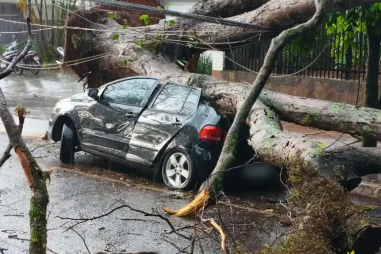 Simepar descarta tornado após temporal com vento de 101,5 km/h na terça-feira em Umuarama