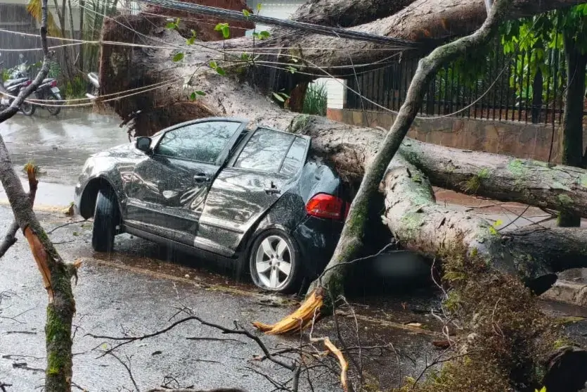 Simepar descarta tornado após temporal com vento de 101,5 km/h na terça-feira em Umuarama
