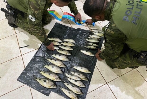 Policiais da Polícia Ambiental durante vistoria de peixes em Icaraíma.