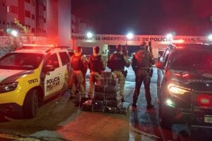 Maconha apreendida após confronto com morte na PR-323 em Jussara.