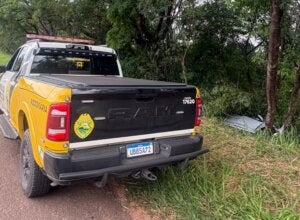 Carro que caiu em barranco após bater em árvore às margens da PR-323.
